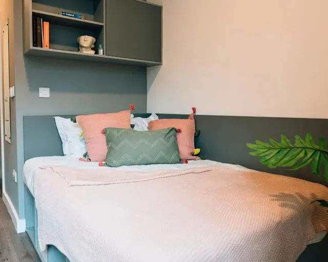 Deluxe Plus & Superior Plus room image 1