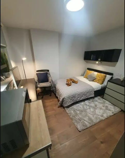 Deluxe Plus Studio