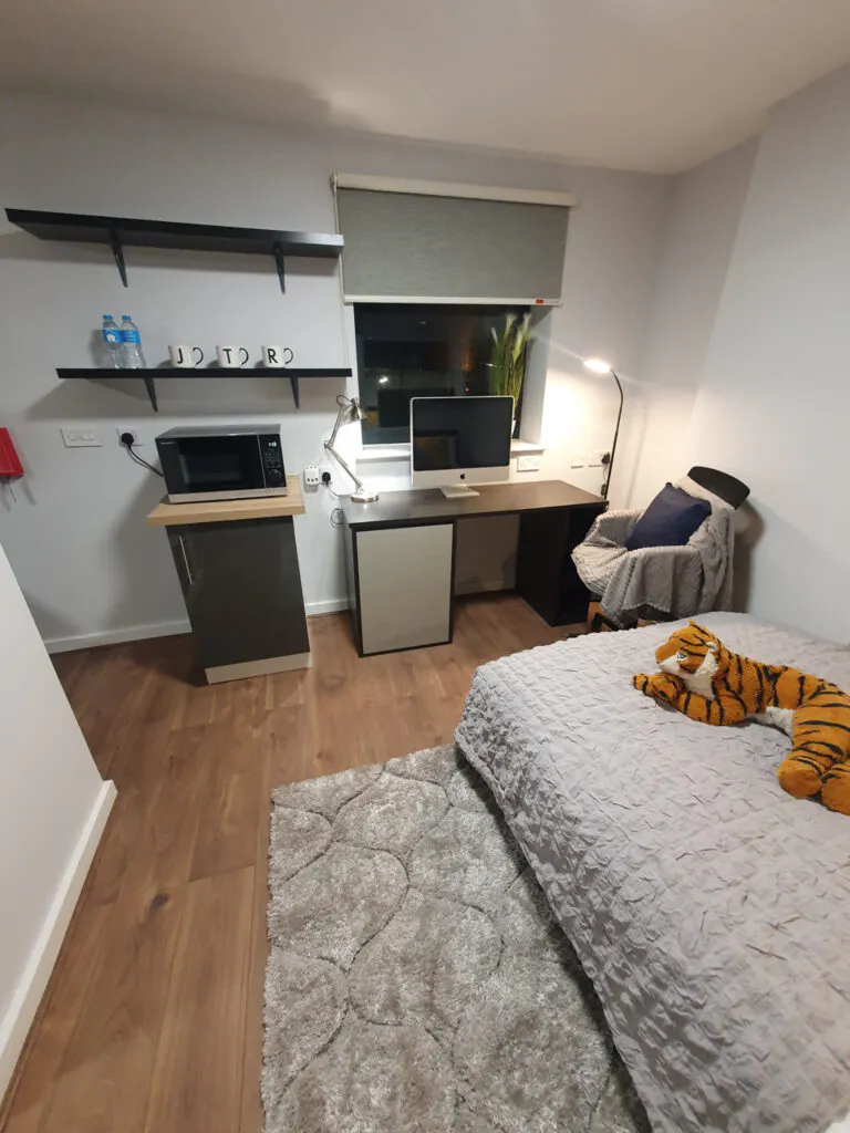 Deluxe Plus Studio (UK Guarantor not required)