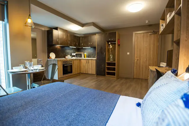 Deluxe Plus Studio room image 2