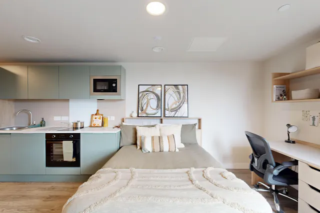 Deluxe Plus Studio room image 1
