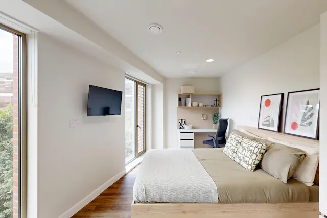 Deluxe Plus Studio room image 1