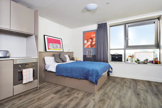 Deluxe room image 2