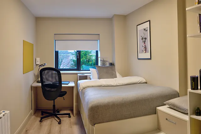 Deluxe Room room image 1