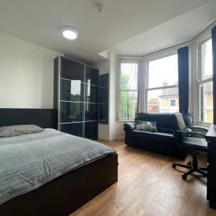 Deluxe room image 2
