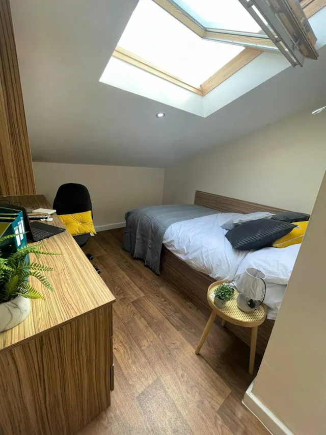 Deluxe Skylight En-Suite room image 1