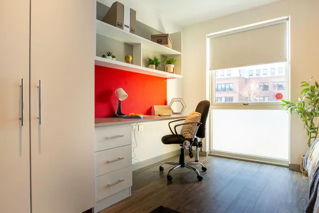 Premium Studio room image 2