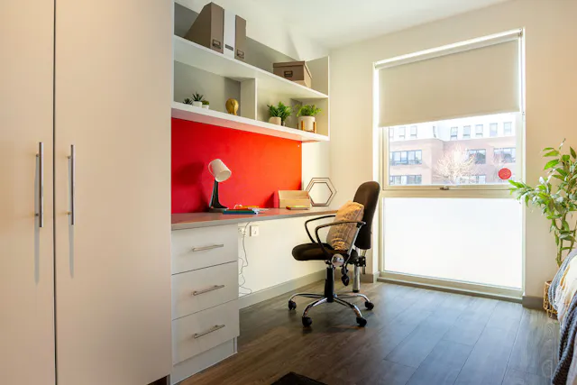 Premium Studio room image 2