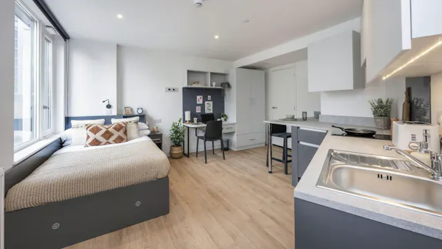 Deluxe Studio room image 1