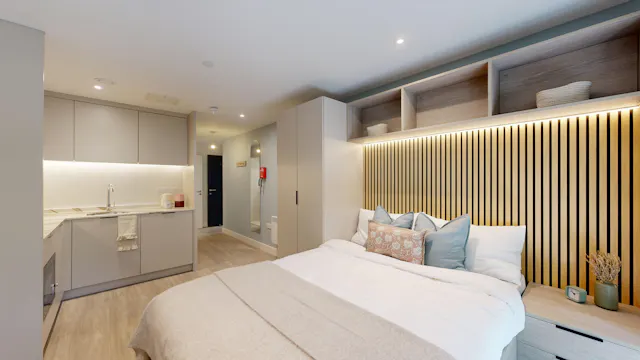 Deluxe Studio room image 2