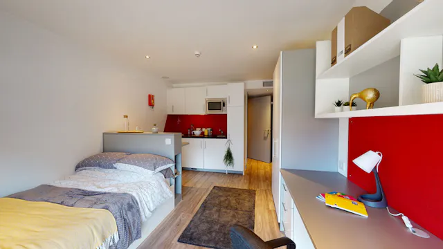 Premium Studio room image 1