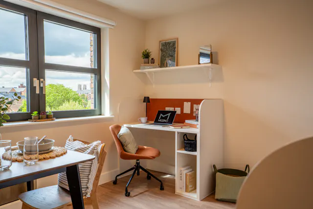 Deluxe Studio – Dual Occupancy room image 6