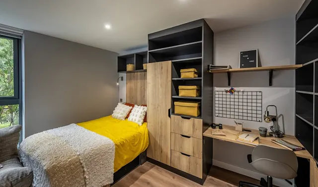 Premium Studio room image 1