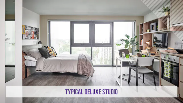 Deluxe Studio Plus room image 1