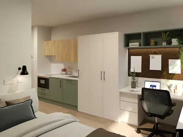 Deluxe Studio Plus room image 1