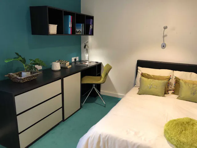 Deluxe Studio room image 2