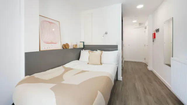 Deluxe Studio room image 1
