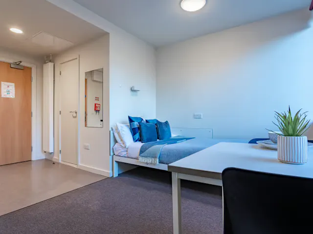 Deluxe Studio room image 1