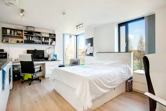 Deluxe Studio room image 1
