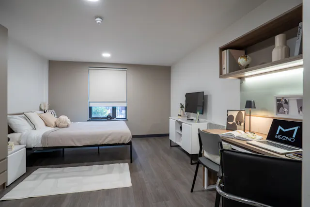 Deluxe Studio room image 1