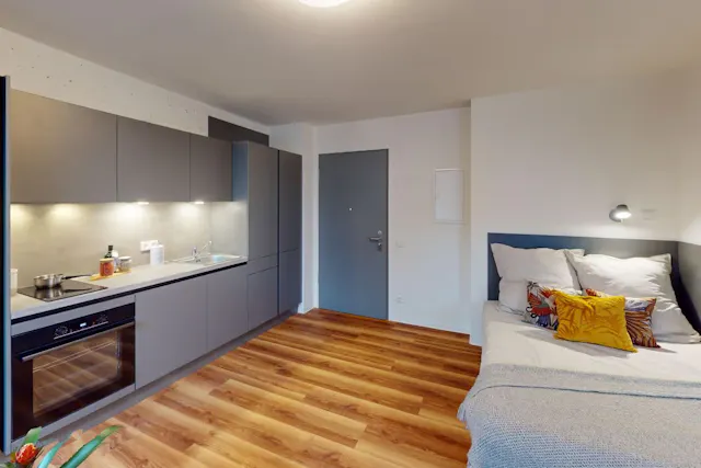 Deluxe Studio room image 1