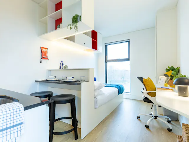 Deluxe Studio room image 2