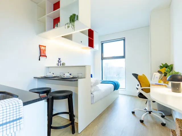 Deluxe Studio room image 2