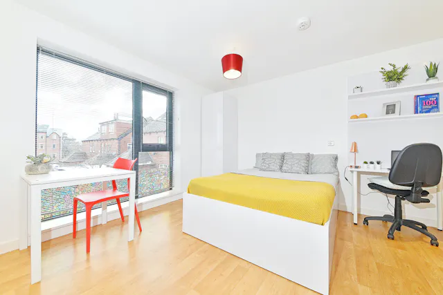 Premium Studio room image 1