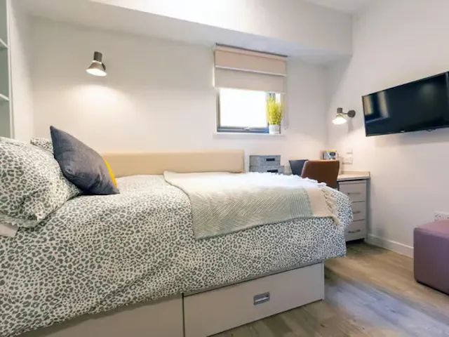 Ultra Studio room image 2