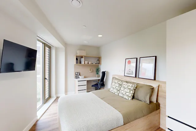 Deluxe Studio room image 2