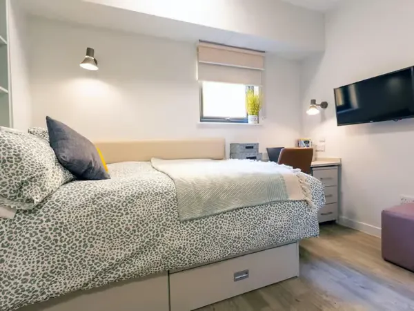Deluxe Studio room image 1