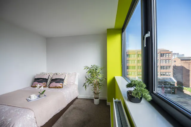 Deluxe Double Studio room image 2
