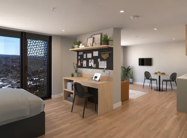 Deluxe Studio Penthouse room image 2