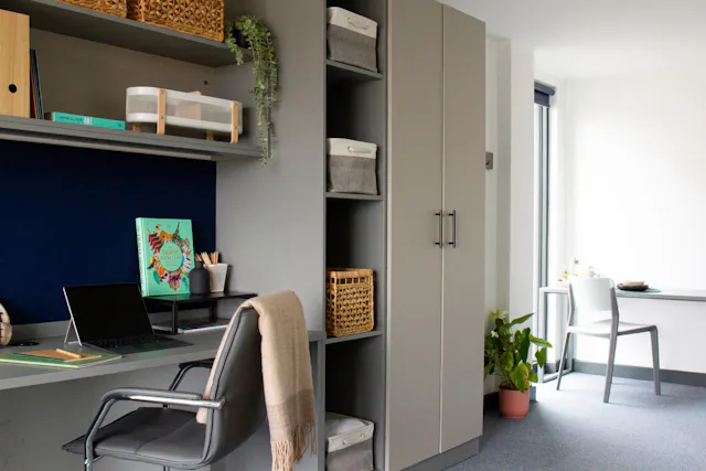 Deluxe Studio room image 2