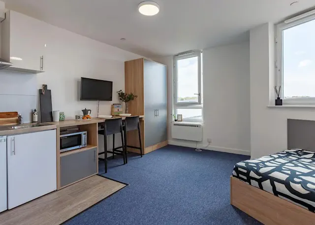 Accessible Studio room image 3