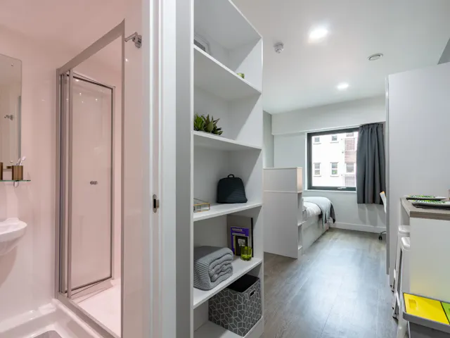 Premium Studio room image 1