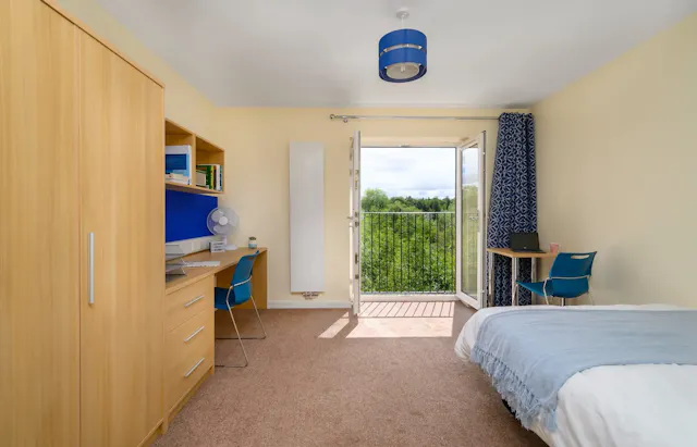 Deluxe Studio room image 2