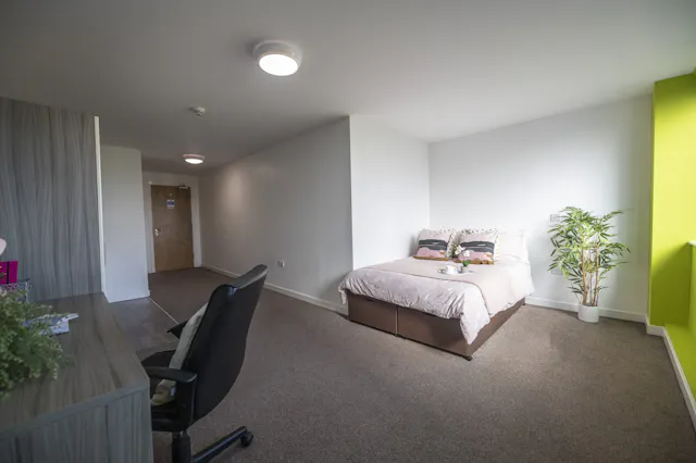 Deluxe Double Studio room image 1