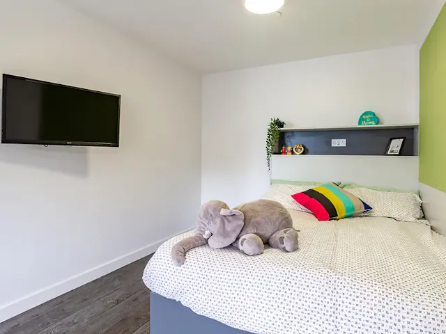 Premium Studio room image 1