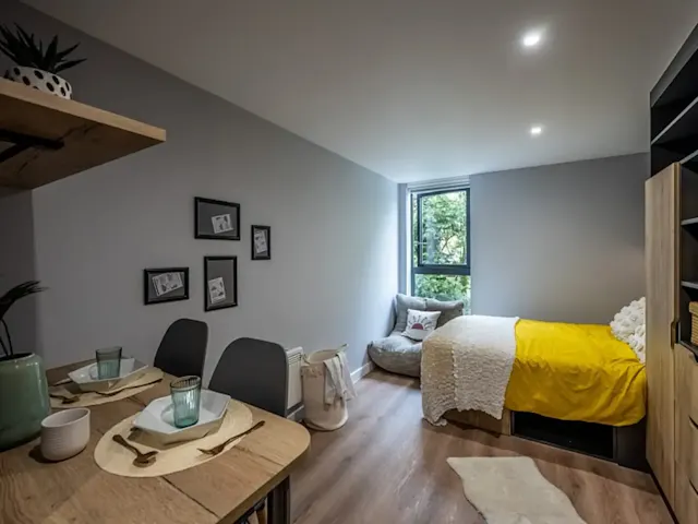 Deluxe Studio room image 1