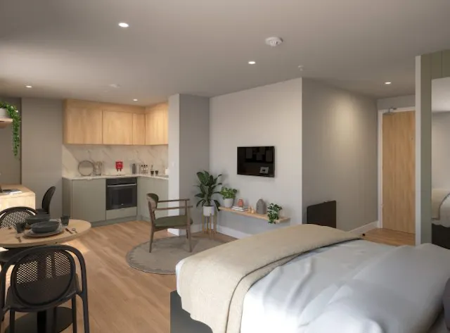 Deluxe Studio Penthouse room image 1