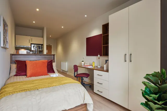 Premium Studio room image 1