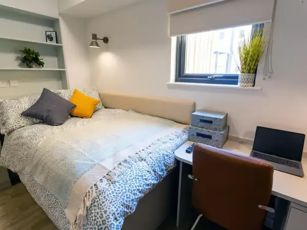 Deluxe Studio