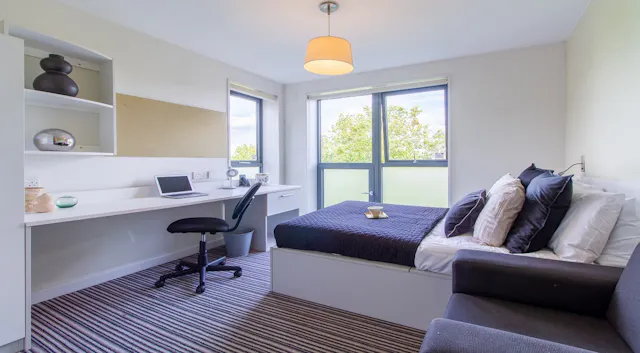 Premium Studio room image 1