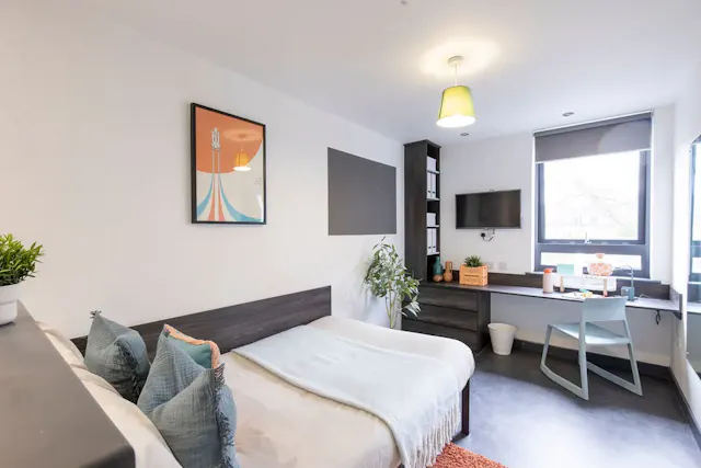 Premium Studio room image 1