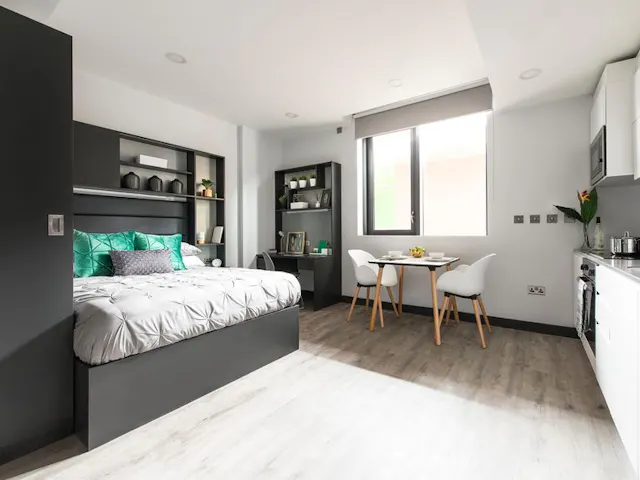 Premium Studio room image 1