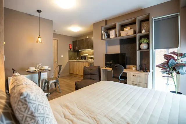 Deluxe Terraced Studio room image 1
