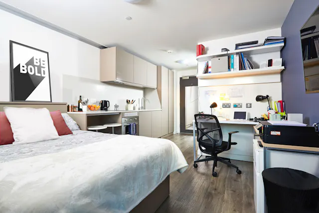 Deluxe room image 1