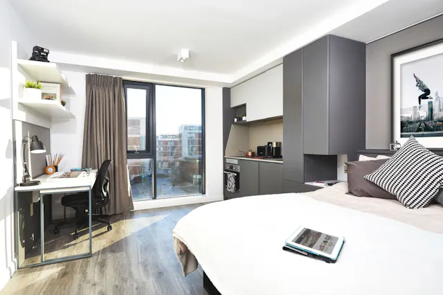 Deluxe room image 1
