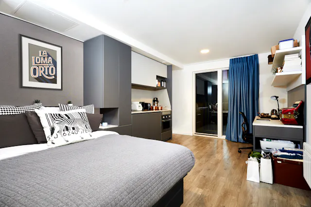 Deluxe room image 1